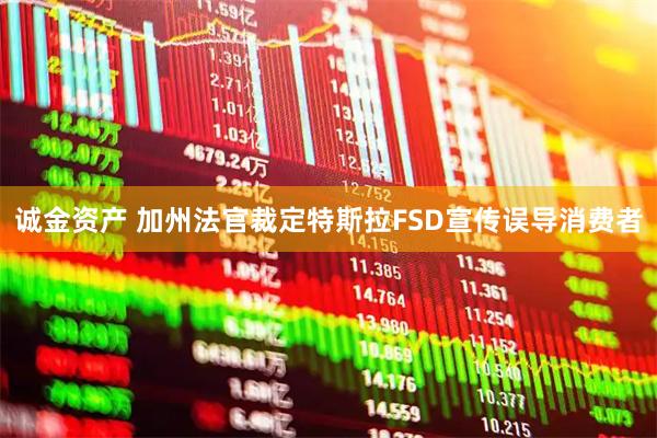 诚金资产 加州法官裁定特斯拉FSD宣传误导消费者